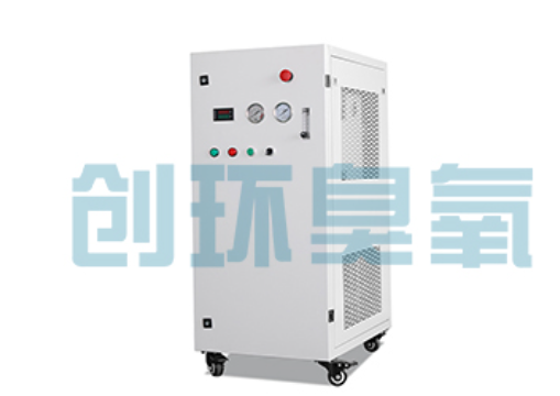 白山石斑鱼养殖水质调控完整指南：臭氧发生器配置与操作步骤