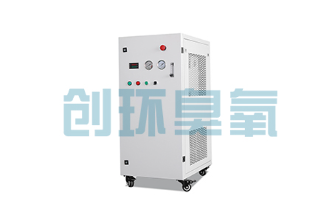 白山比传统换水更高效？臭氧发生器在石斑鱼养殖中的水质净化原理解析