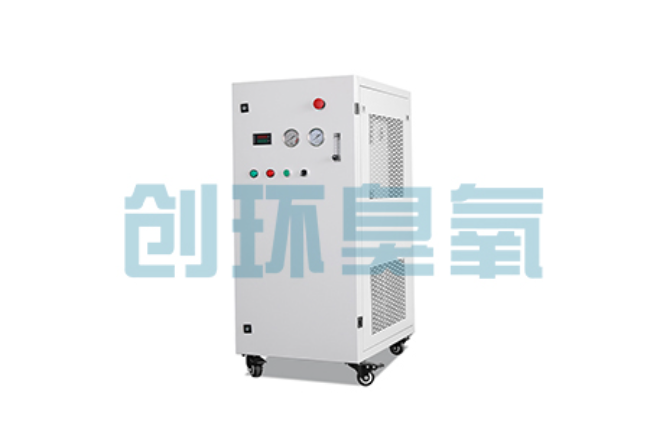白山比传统换水更高效？臭氧发生器在石斑鱼养殖中的水质净化原理解析